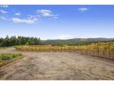 25219 High Pass Rd - Photo 13