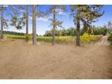 25219 High Pass Rd - Photo 14
