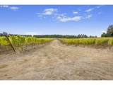 25219 High Pass Rd - Photo 15