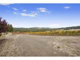 25219 High Pass Rd - Photo 16