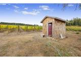 25219 High Pass Rd - Photo 4