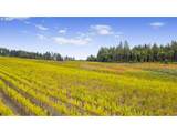 25219 High Pass Rd - Photo 8