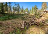 000 School (Lot 2, Land) Rd - Photo 6