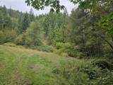 2262 Louis Creek Rd - Photo 14