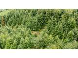 0 Saddle Mountain Rd - Photo 5