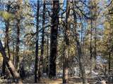 17 Partin Dr - Photo 1