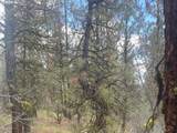17 Partin Dr - Photo 3