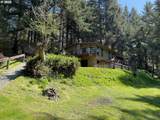 70772 Majestic Shores Rd - Photo 47