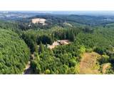 31890 Cater Rd - Photo 47