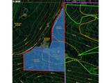 31890 Cater Rd - Photo 48