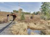 27754 Cedar Bridge Ln - Photo 45
