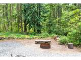 75721 Road 28 - Photo 28