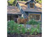 21839 227TH Ave - Photo 44