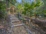 24990 Tillicum St - Photo 42