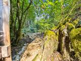 24990 Tillicum St - Photo 47