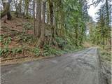 61875 Jettview Ln - Photo 10