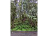 61875 Jettview Ln - Photo 19