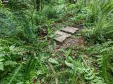 61875 Jettview Ln - Photo 21