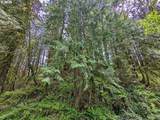 61875 Jettview Ln - Photo 6