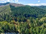 1293 Starveout Creek Rd - Photo 41