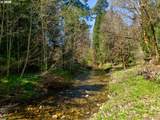 1293 Starveout Creek Rd - Photo 42