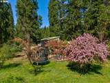 1293 Starveout Creek Rd - Photo 43