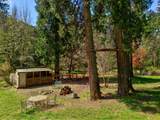 1293 Starveout Creek Rd - Photo 44