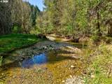 1293 Starveout Creek Rd - Photo 46