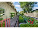 173 Songbird Ct - Photo 41