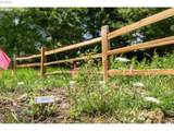 4925 153RD Ave - Photo 2