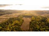 26900 Crow Rd - Photo 47