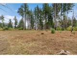 51209 Blue River Dr - Photo 10