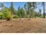 51209 Blue River Dr - Photo 11