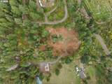51209 Blue River Dr - Photo 13