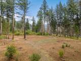 51209 Blue River Dr - Photo 3
