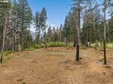 51209 Blue River Dr - Photo 4