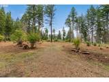 51209 Blue River Dr - Photo 7