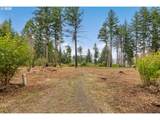 51209 Blue River Dr - Photo 8