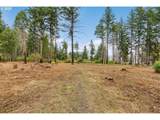51209 Blue River Dr - Photo 9