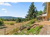 37600 Upper Camp Creek Rd - Photo 31
