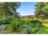 37600 Upper Camp Creek Rd - Photo 36
