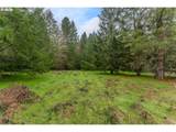  Upper Cow Creek Rd - Photo 13