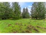  Upper Cow Creek Rd - Photo 14