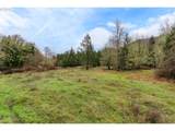  Upper Cow Creek Rd - Photo 16