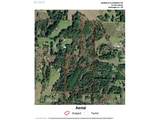  Pumpkin Ridge Rd - Photo 14