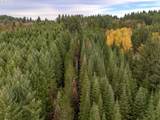  Pumpkin Ridge Rd - Photo 5