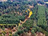  Pumpkin Ridge Rd - Photo 9