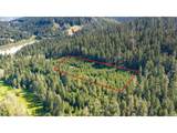  Berry Creek Rd - Photo 1