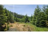  Berry Creek Rd - Photo 5