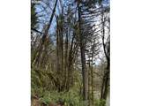 0 Old Railroad Grade Rd - Photo 8